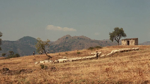 Still frame 168 from The Godfather (1972) directed by Francis Ford Coppola