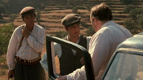 Still frame 170 from The Godfather (1972) directed by Francis Ford Coppola