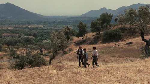 Still frame 171 from The Godfather (1972) directed by Francis Ford Coppola