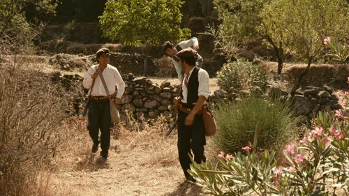 Still frame 174 from The Godfather (1972) directed by Francis Ford Coppola