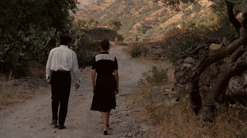 Still frame 185 from The Godfather (1972) directed by Francis Ford Coppola