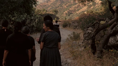 Still frame 186 from The Godfather (1972) directed by Francis Ford Coppola