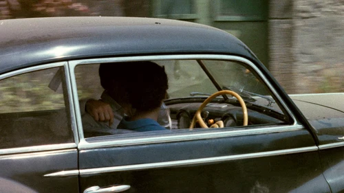 Still frame 223 from The Godfather (1972) directed by Francis Ford Coppola