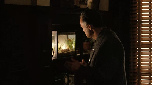 Still frame 249 from The Godfather (1972) directed by Francis Ford Coppola