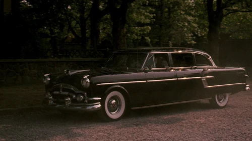 Still frame 266 from The Godfather (1972) directed by Francis Ford Coppola