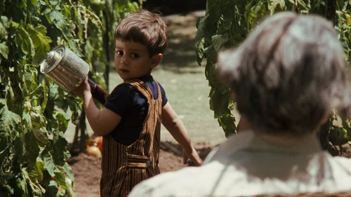 Still frame 272 from The Godfather (1972) directed by Francis Ford Coppola