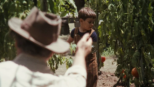 Still frame 273 from The Godfather (1972) directed by Francis Ford Coppola
