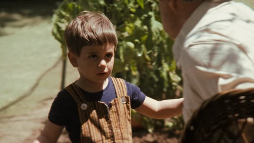Still frame 274 from The Godfather (1972) directed by Francis Ford Coppola