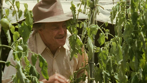Still frame 275 from The Godfather (1972) directed by Francis Ford Coppola