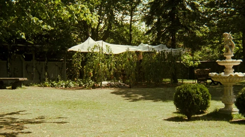 Still frame 276 from The Godfather (1972) directed by Francis Ford Coppola