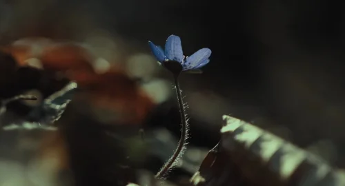 Still frame 207 from The Gorge (2025) directed by Scott Derrickson
