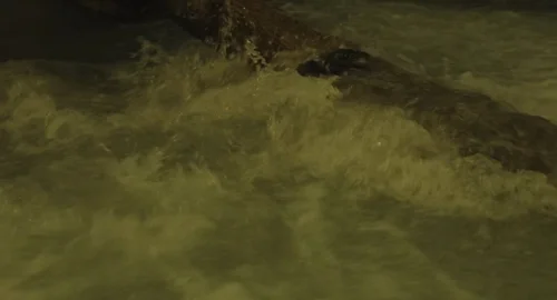 Still frame 269 from The Gorge (2025) directed by Scott Derrickson
