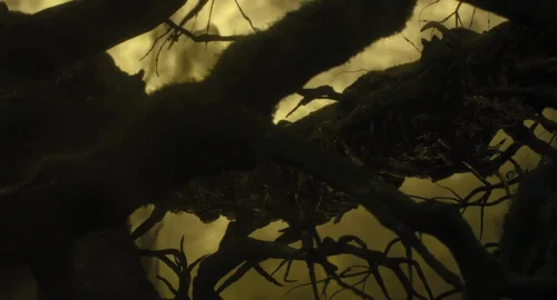 Still frame 271 from The Gorge (2025) directed by Scott Derrickson