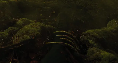 Still frame 275 from The Gorge (2025) directed by Scott Derrickson