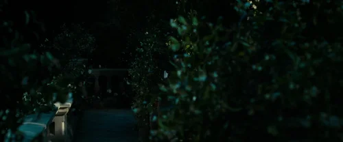 Still frame 206 from The Great Gatsby (2013) directed by Baz Luhrmann