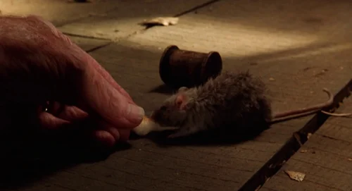 Still frame 160 from The Green Mile (1999) directed by Frank Darabont