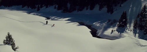 The Hateful Eight