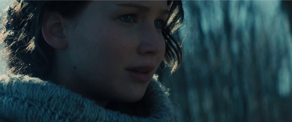 Still frame 2 from The Hunger Games: Catching Fire (2013) directed by Francis Lawrence