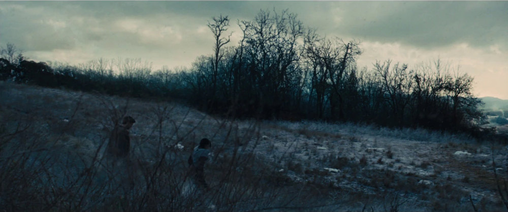 Still frame 5 from The Hunger Games: Catching Fire (2013) directed by Francis Lawrence