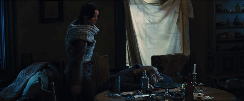 Still frame 9 from The Hunger Games: Catching Fire (2013) directed by Francis Lawrence