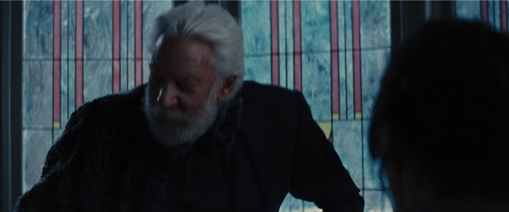 Still frame 11 from The Hunger Games: Catching Fire (2013) directed by Francis Lawrence