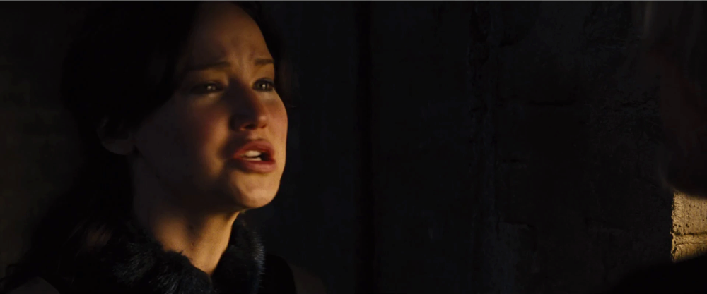Still frame 26 from The Hunger Games: Catching Fire (2013) directed by Francis Lawrence