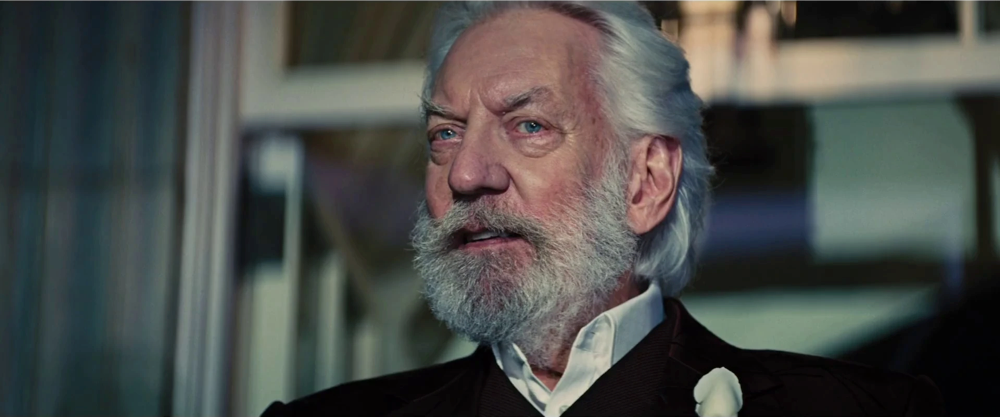 Still frame 38 from The Hunger Games: Catching Fire (2013) directed by Francis Lawrence