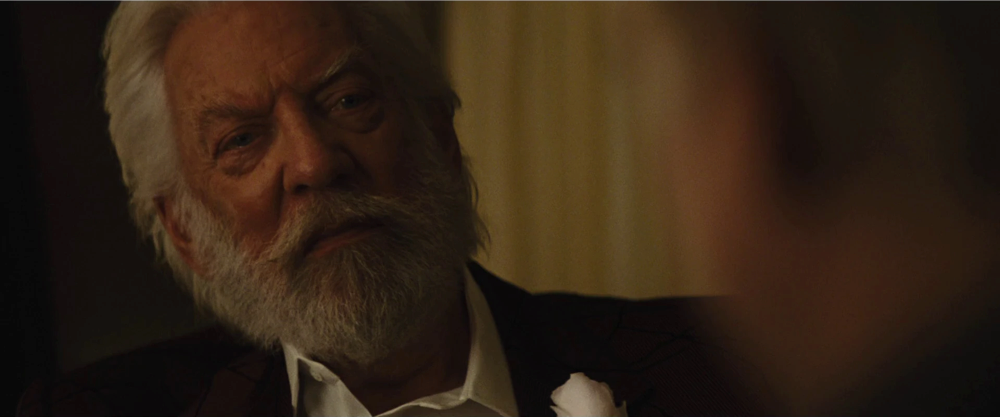 Still frame 39 from The Hunger Games: Catching Fire (2013) directed by Francis Lawrence
