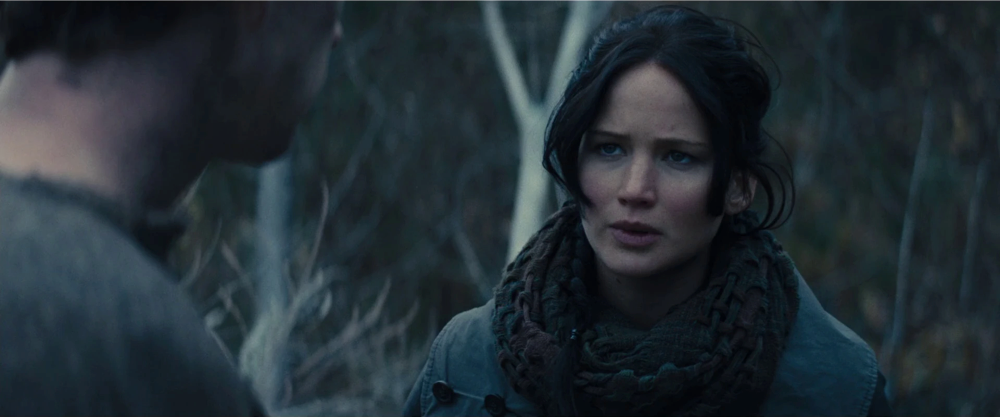 Still frame 41 from The Hunger Games: Catching Fire (2013) directed by Francis Lawrence