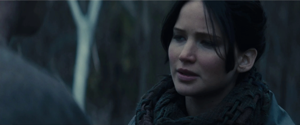 Still frame 44 from The Hunger Games: Catching Fire (2013) directed by Francis Lawrence