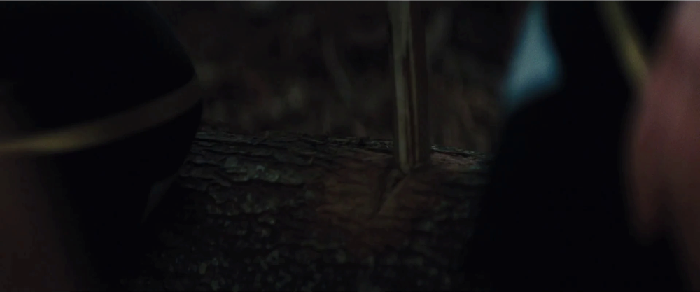 Still frame 74 from The Hunger Games: Catching Fire (2013) directed by Francis Lawrence