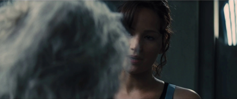 Still frame 78 from The Hunger Games: Catching Fire (2013) directed by Francis Lawrence