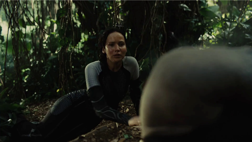 Still frame 106 from The Hunger Games: Catching Fire (2013) directed by Francis Lawrence