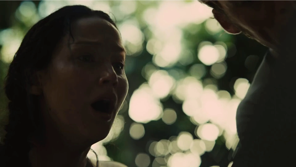 Still frame 105 from The Hunger Games: Catching Fire (2013) directed by Francis Lawrence