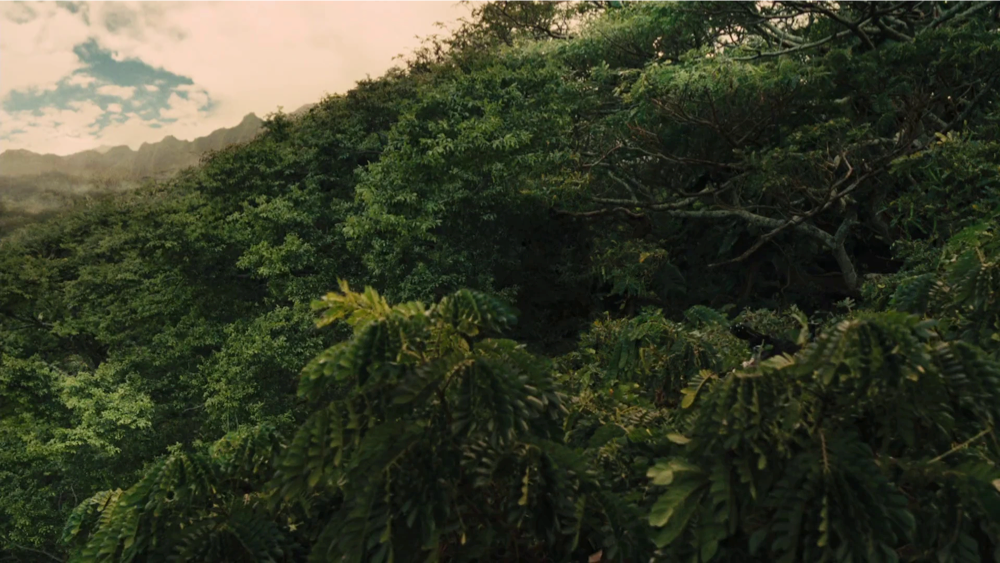 Still frame 107 from The Hunger Games: Catching Fire (2013) directed by Francis Lawrence