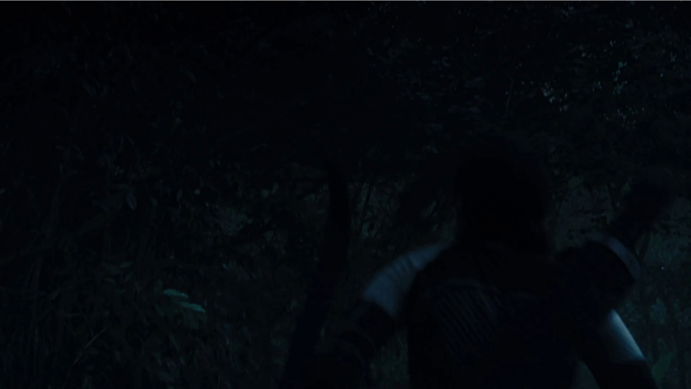 Still frame 110 from The Hunger Games: Catching Fire (2013) directed by Francis Lawrence