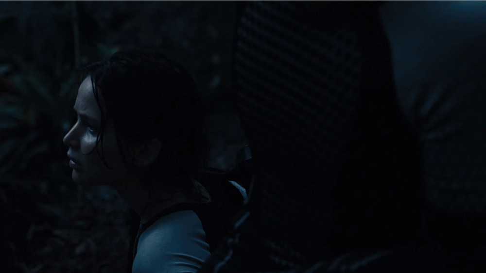 Still frame 114 from The Hunger Games: Catching Fire (2013) directed by Francis Lawrence
