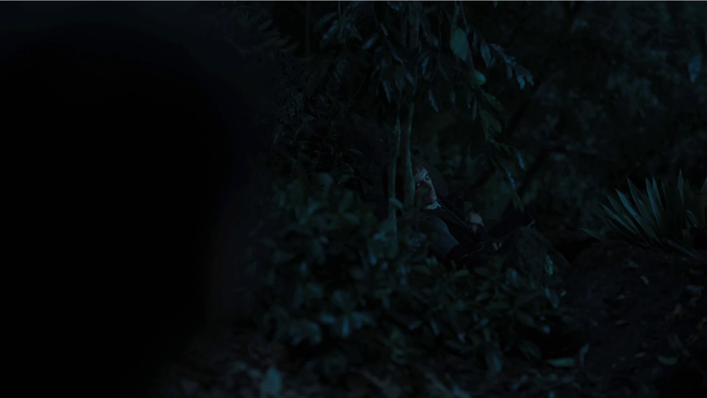 Still frame 112 from The Hunger Games: Catching Fire (2013) directed by Francis Lawrence