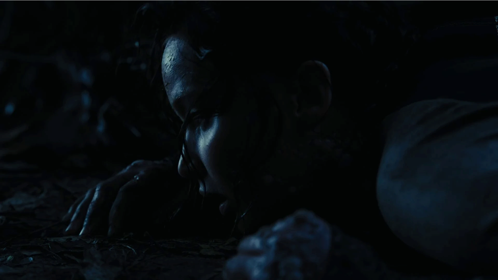 Still frame 117 from The Hunger Games: Catching Fire (2013) directed by Francis Lawrence