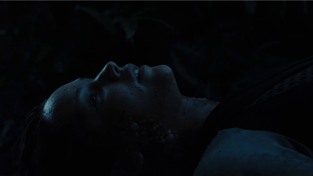 Still frame 118 from The Hunger Games: Catching Fire (2013) directed by Francis Lawrence