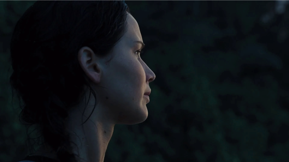 Still frame 126 from The Hunger Games: Catching Fire (2013) directed by Francis Lawrence