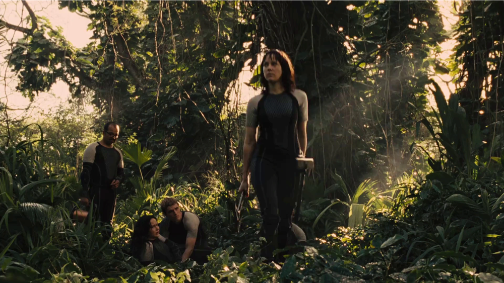 Still frame 137 from The Hunger Games: Catching Fire (2013) directed by Francis Lawrence