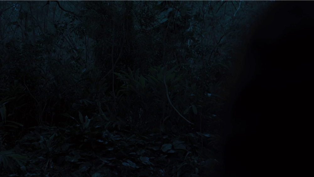 Still frame 149 from The Hunger Games: Catching Fire (2013) directed by Francis Lawrence