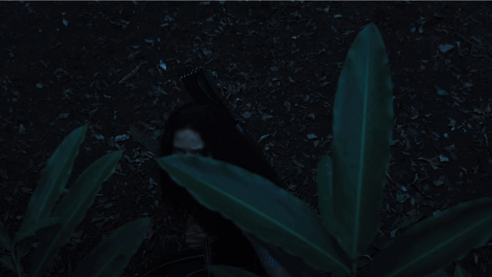 Still frame 152 from The Hunger Games: Catching Fire (2013) directed by Francis Lawrence