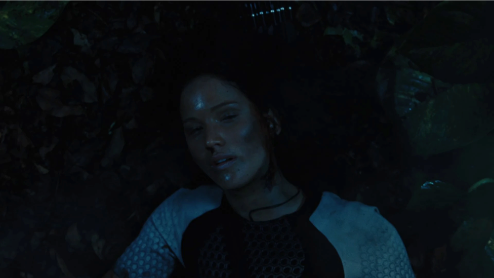 Still frame 153 from The Hunger Games: Catching Fire (2013) directed by Francis Lawrence
