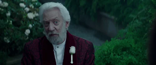 Still frame 72 from The Hunger Games: Mockingjay - Part 2 (2015) directed by Francis Lawrence