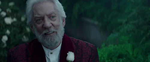 Still frame 71 from The Hunger Games: Mockingjay - Part 2 (2015) directed by Francis Lawrence