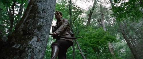 Still frame 3 from The Hunger Games (2012) directed by Gary Ross