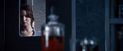 Still frame 25 from The Hunger Games (2012) directed by Gary Ross
