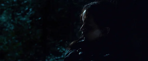 Still frame 75 from The Hunger Games (2012) directed by Gary Ross